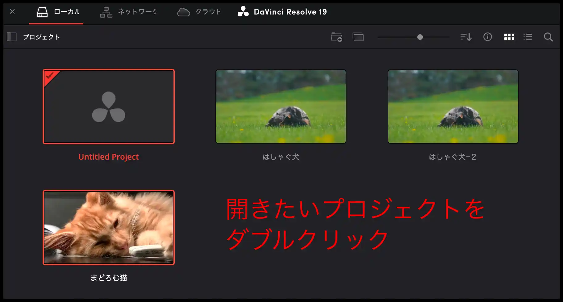 ダビンチプロジェクト開き方