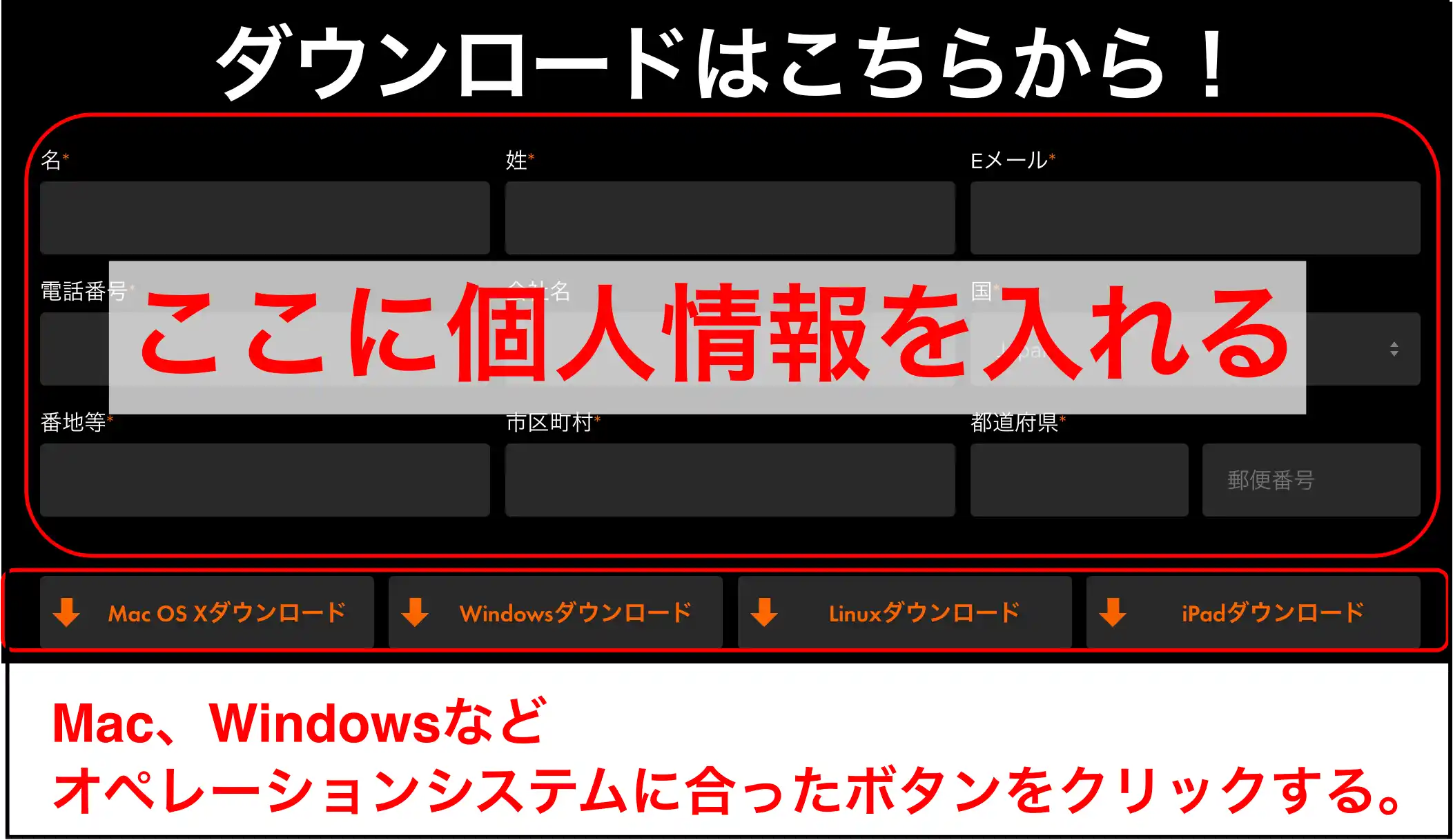 イントールサイト画面